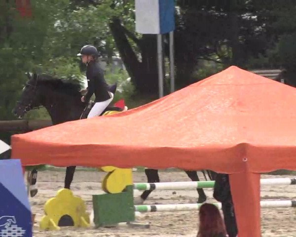 Reitturnier Kleinostheim 2016