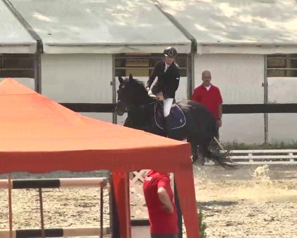 Reitturnier Kleinostheim 2016