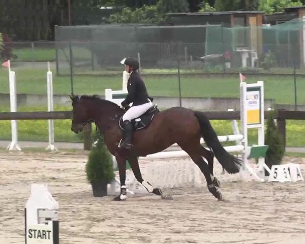 Reitturnier Kleinostheim 2016