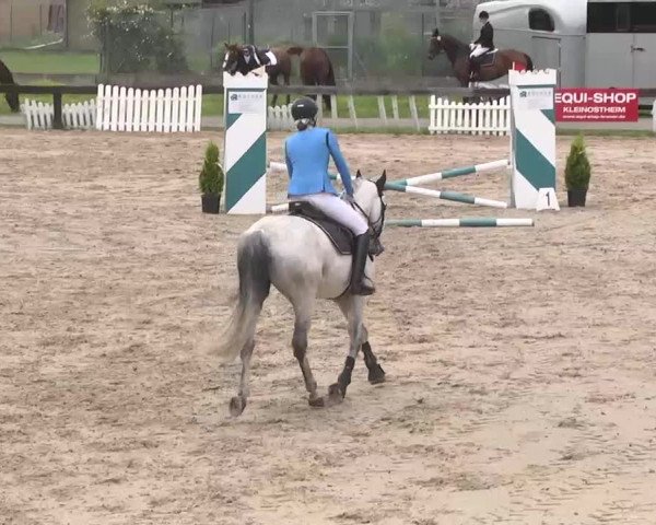 Reitturnier Kleinostheim 2016