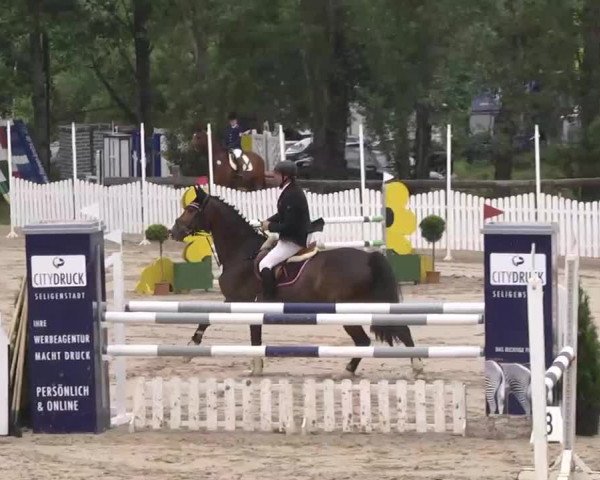 Reitturnier Kleinostheim 2016