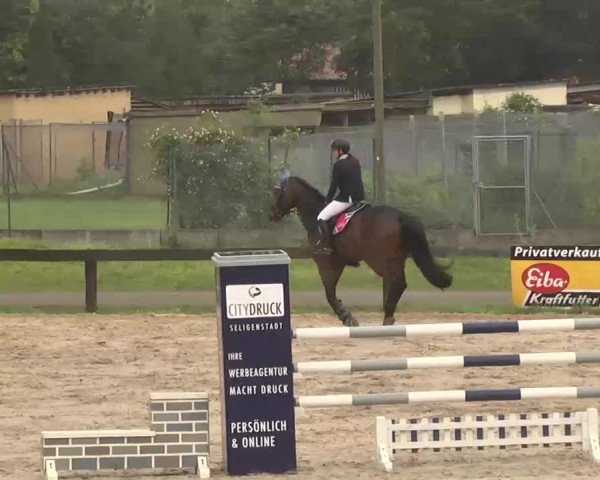 Reitturnier Kleinostheim 2016