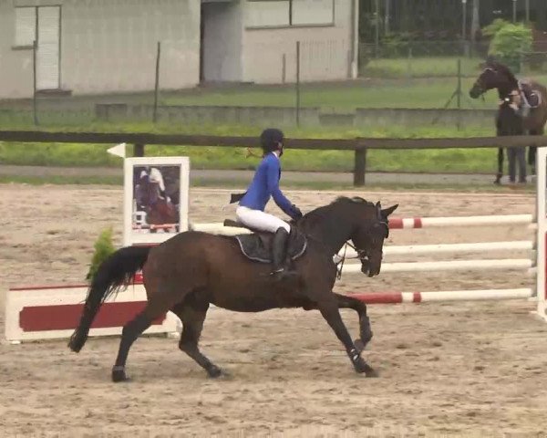 Reitturnier Kleinostheim 2016