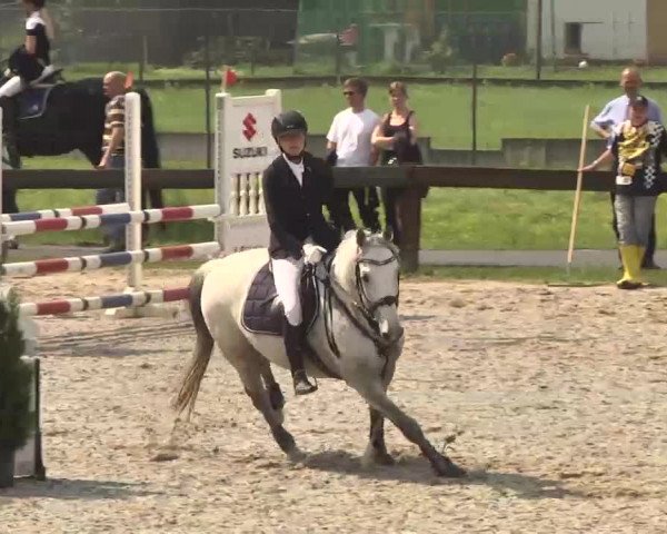Reitturnier Kleinostheim 2016