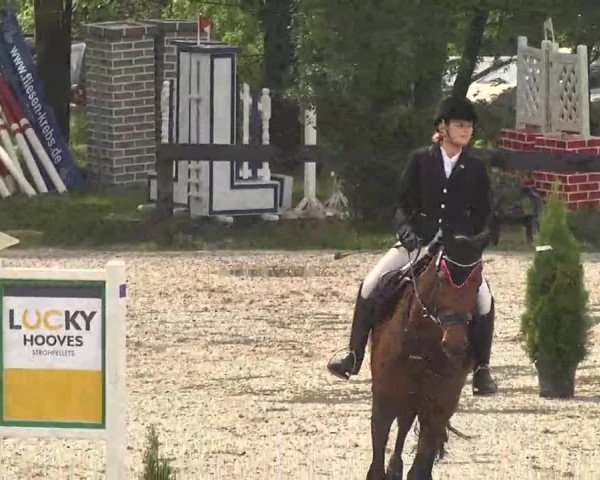 Reitturnier Kleinostheim 2016