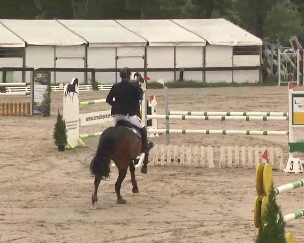 Reitturnier Kleinostheim 2016