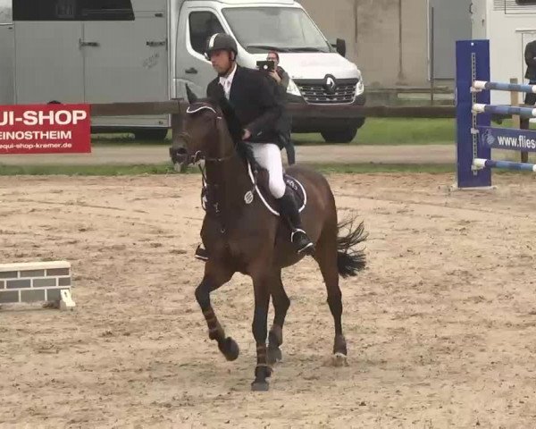 Reitturnier Kleinostheim 2016