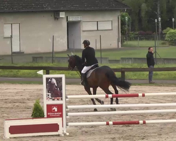 Reitturnier Kleinostheim 2016