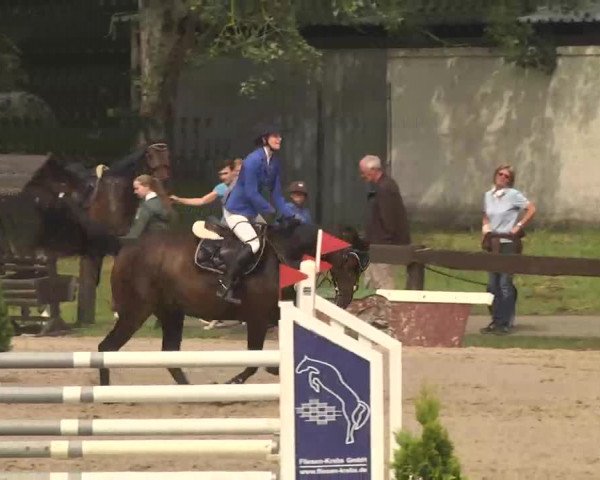 Reitturnier Kleinostheim 2016