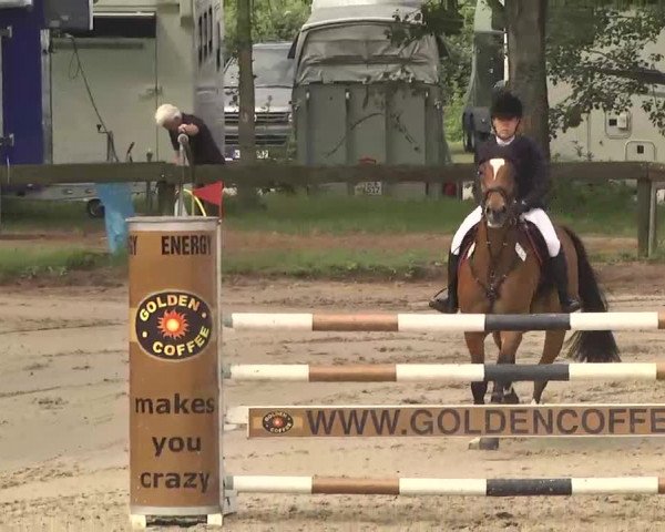 Reitturnier Kleinostheim 2016