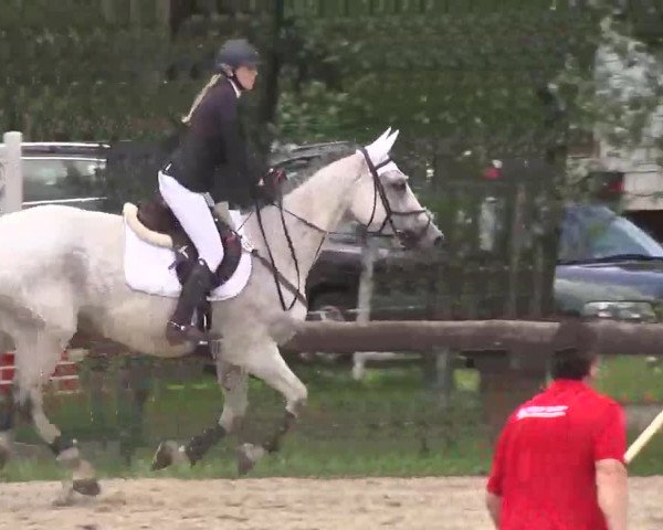 Reitturnier Kleinostheim 2016