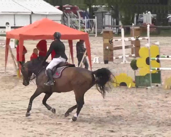 Reitturnier Kleinostheim 2016