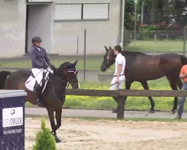 Reitturnier Kleinostheim 2016