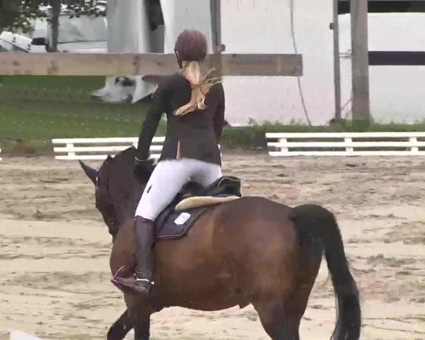 Reitturnier Kleinostheim 2016