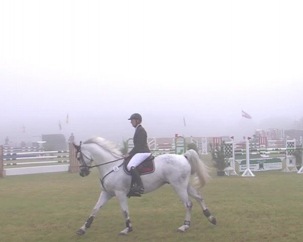 Reitturnier Medelby 2016