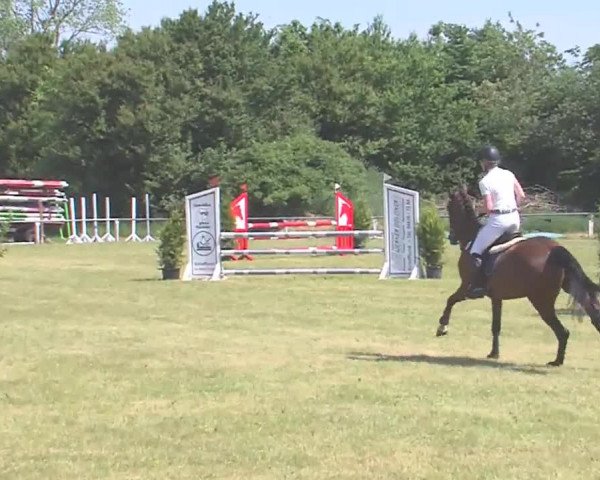 Reitturnier Medelby 2016