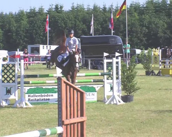 Reitturnier Medelby 2016