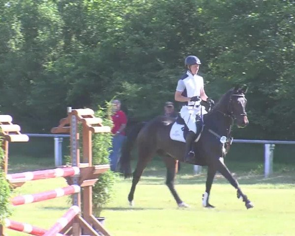 Reitturnier Medelby 2016