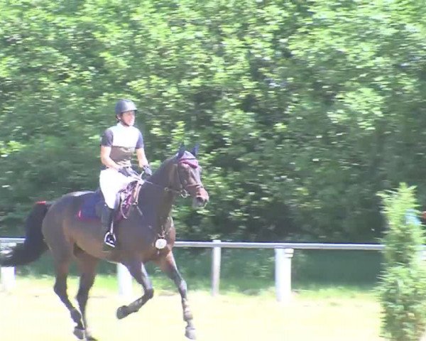 Reitturnier Medelby 2016