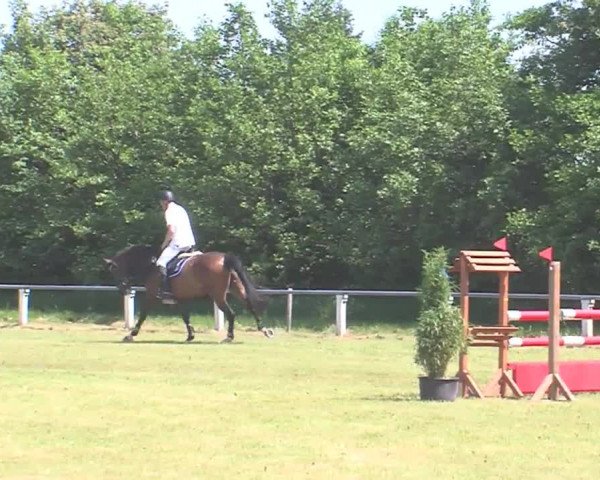 Reitturnier Medelby 2016