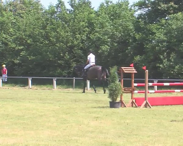 Reitturnier Medelby 2016