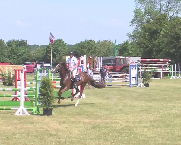 Reitturnier Medelby 2016