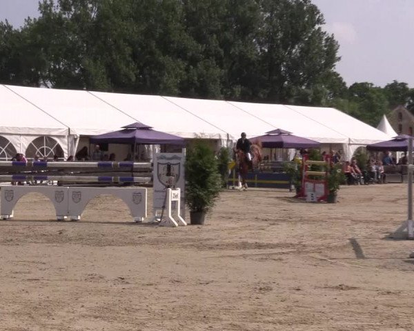 Reitturnier Bissendorf - Gut Stockum 2016