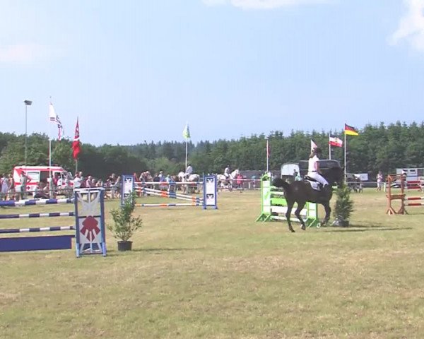 Reitturnier Medelby 2016
