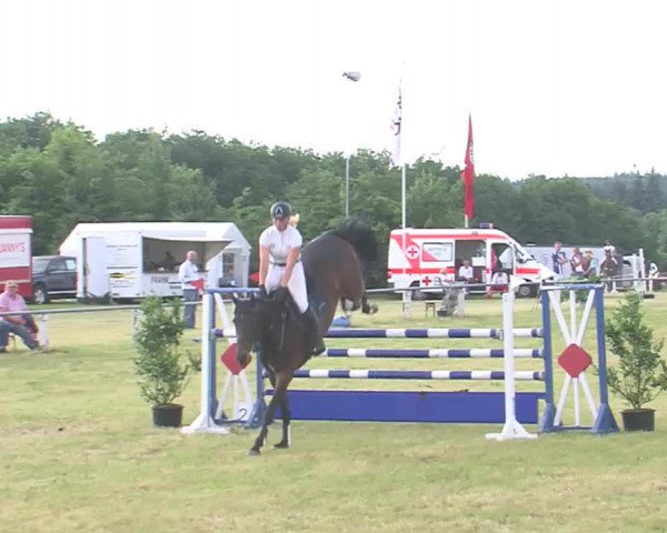 Reitturnier Medelby 2016