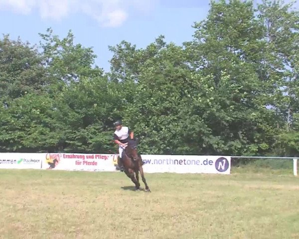 Reitturnier Medelby 2016