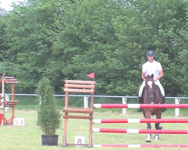 Reitturnier Medelby 2016
