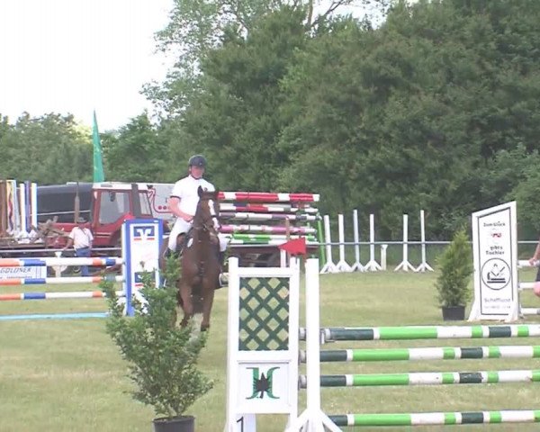 Reitturnier Medelby 2016