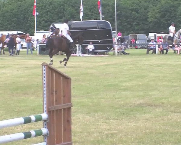 Reitturnier Medelby 2016