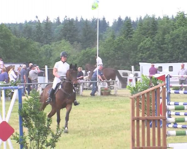 Reitturnier Medelby 2016