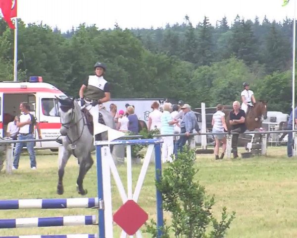 Reitturnier Medelby 2016