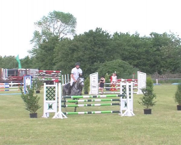 Reitturnier Medelby 2016