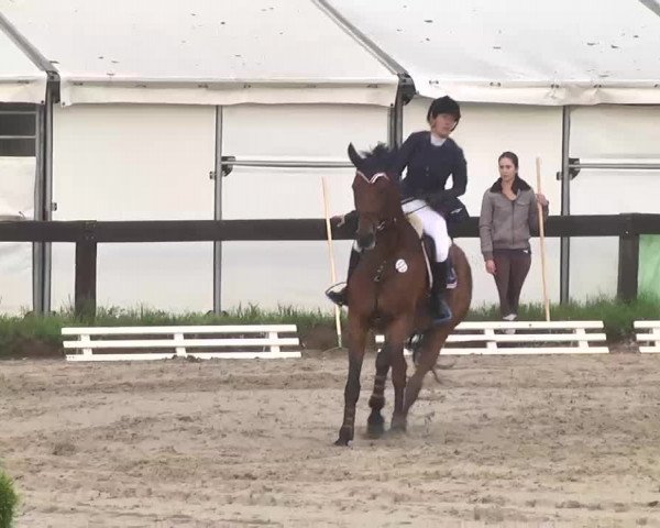 Reitturnier Kleinostheim 2016