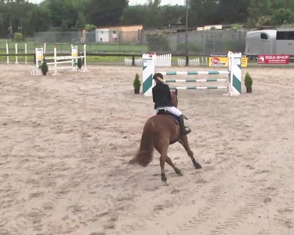 Reitturnier Kleinostheim 2016