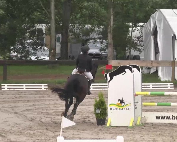 Reitturnier Kleinostheim 2016