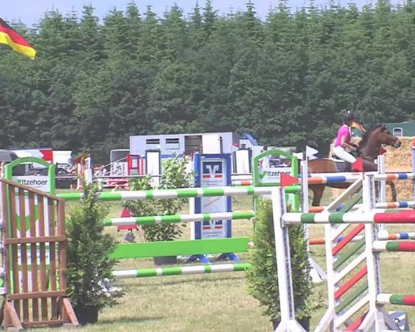 Reitturnier Medelby 2016