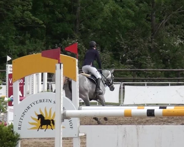 Reitturnier Frechen-Grefrath - Sonnenhof 2016