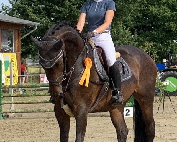 broodmare Caaliya R (Hanoverian, 2014, from Cornet Obolensky)