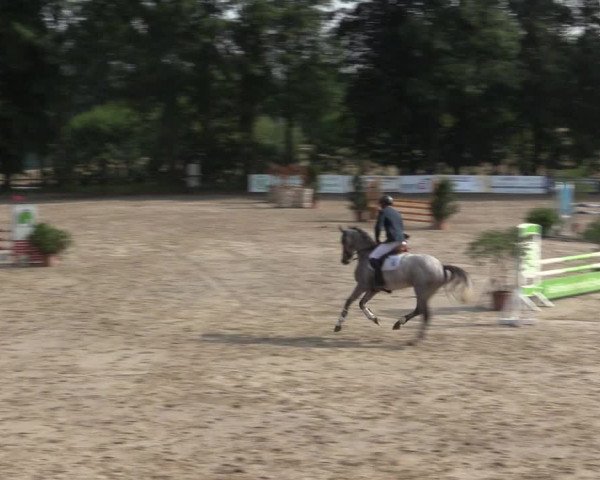 Reitturnier Erkrath - Uhlenhof 2016