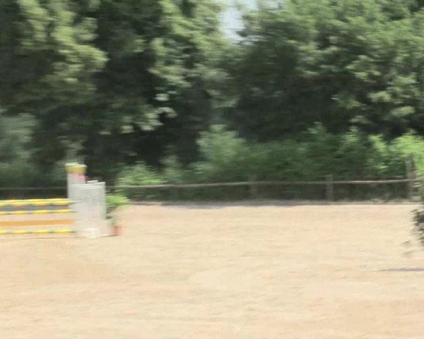 Reitturnier Erkrath - Uhlenhof 2016