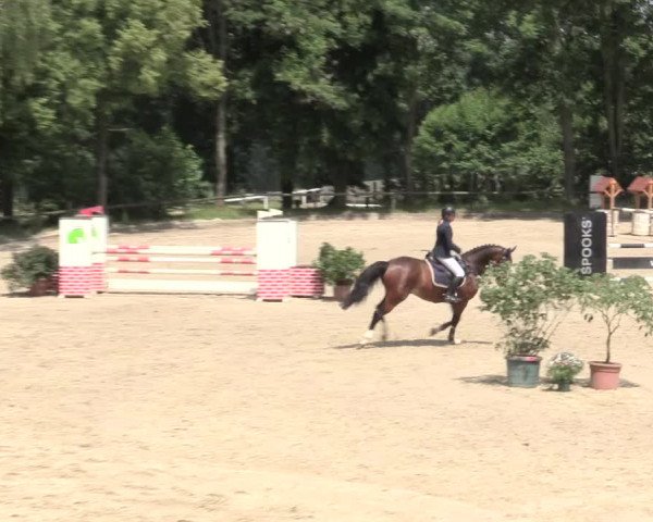 Reitturnier Erkrath - Uhlenhof 2016