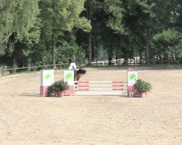 Reitturnier Erkrath - Uhlenhof 2016