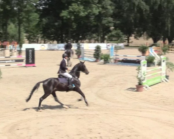 Reitturnier Erkrath - Uhlenhof 2016