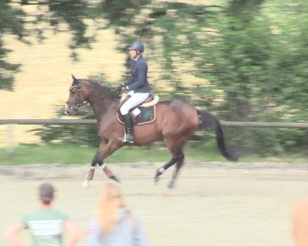 Reitturnier Erkrath - Uhlenhof 2016