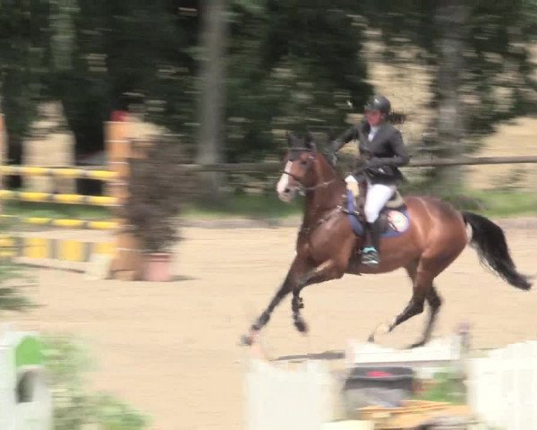 Reitturnier Erkrath - Uhlenhof 2016