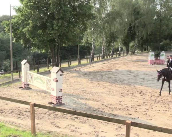 Reitturnier Erkrath - Uhlenhof 2016